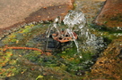 Sackträgerbrunnen