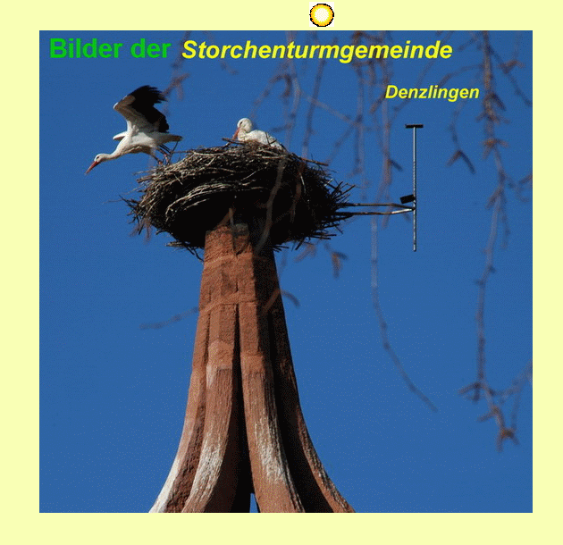 Storchen - Startbild